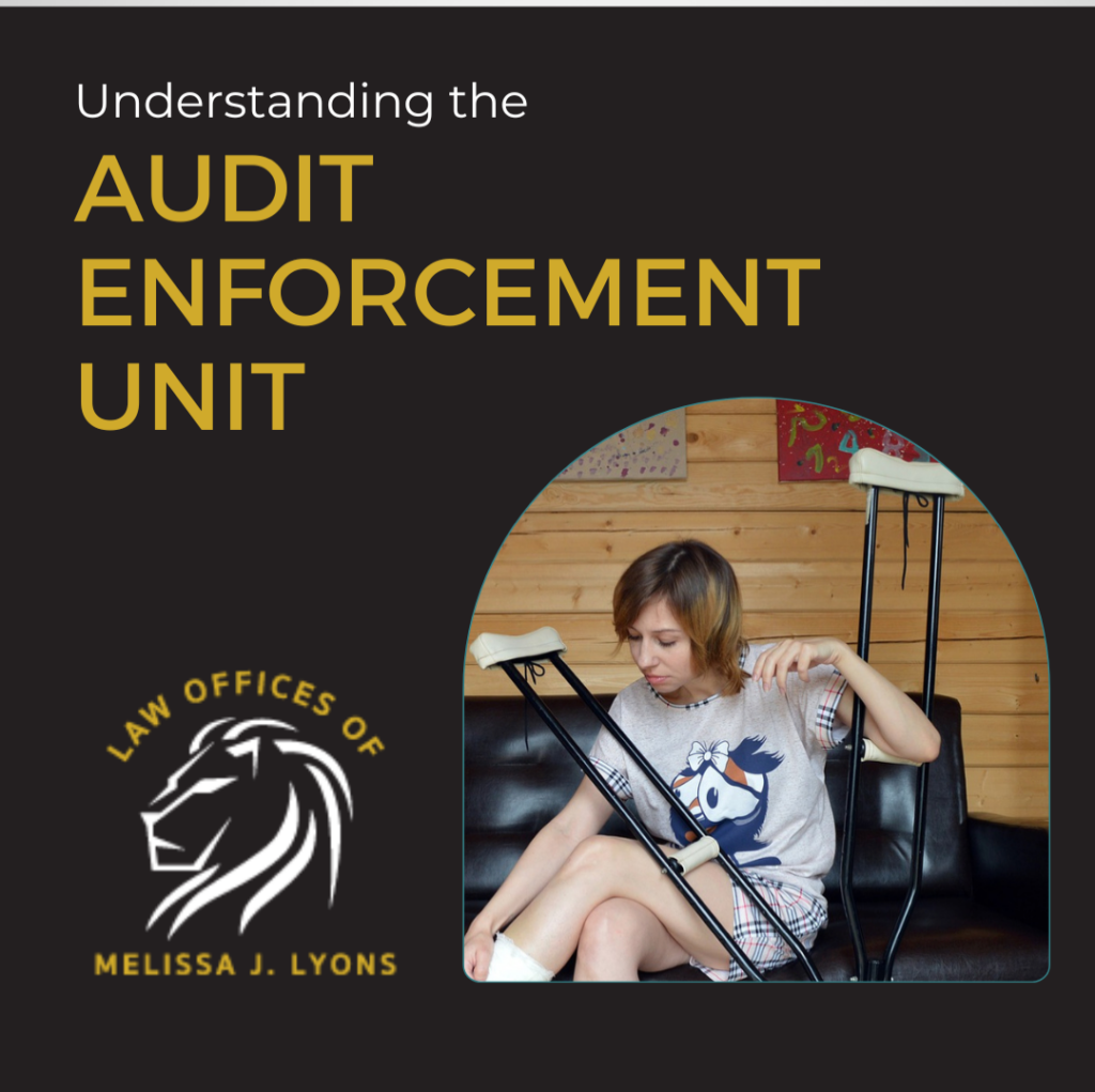 Understanding the Audit Enforcement Unit